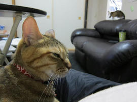 IMG04748.jpg