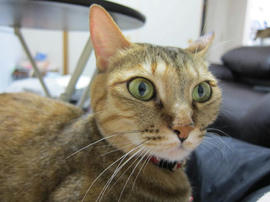 IMG04749.jpg