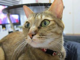 IMG04750.jpg