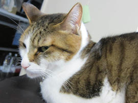 IMG04751.jpg