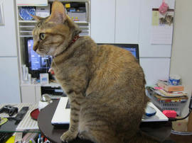 IMG04754.jpg