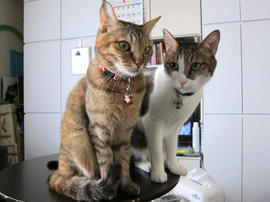 IMG04755.jpg