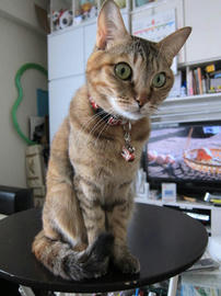 IMG04756.jpg