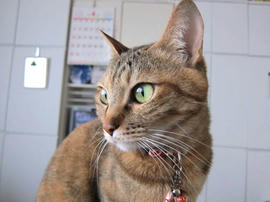 IMG04757.jpg