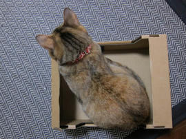 IMG04760.jpg
