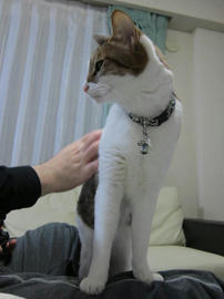 IMG04763.jpg