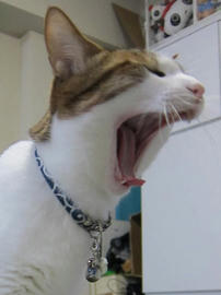 IMG04764.jpg