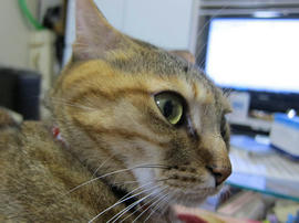 IMG04765.jpg