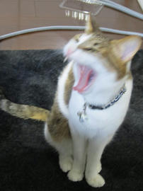 IMG04767.jpg