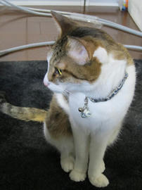 IMG04768.jpg