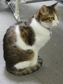 IMG04771.jpg