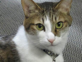 IMG04773.jpg