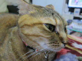 IMG04775.jpg