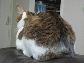 IMG04776.jpg