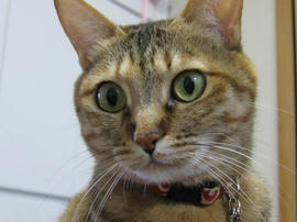 IMG04778.jpg