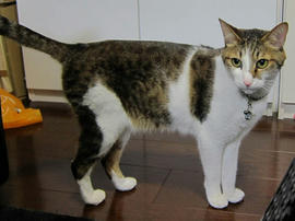 IMG04779.jpg