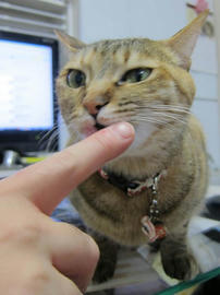IMG04781.jpg