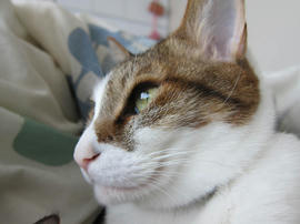 IMG04788.jpg