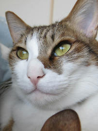 IMG04789.jpg