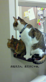 201204121826.jpg
