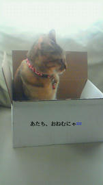 201204130849.jpg