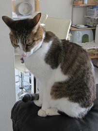 IMG04802.jpg