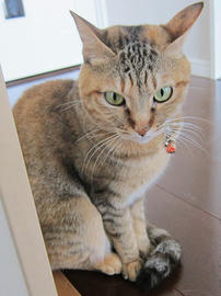 IMG04803.jpg