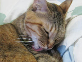 IMG04806.jpg