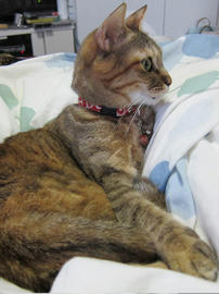 IMG04807.jpg