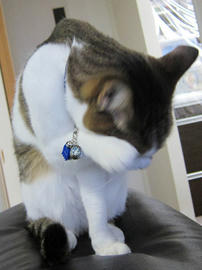 IMG04809.jpg
