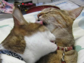 IMG04819.jpg
