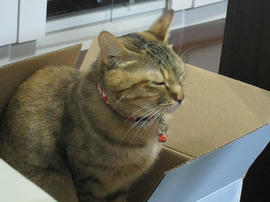 IMG04820.jpg