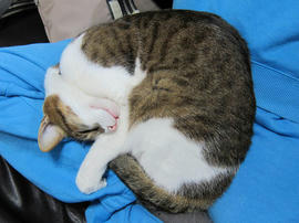 IMG04821.jpg