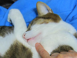 IMG04822.jpg