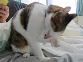 IMG04827.jpg