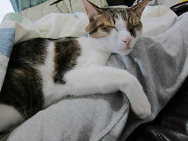 IMG04831.jpg