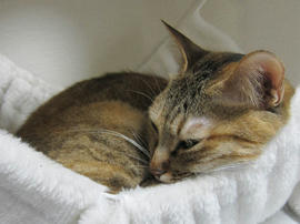 IMG04832.jpg