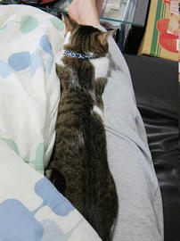 IMG04835.jpg