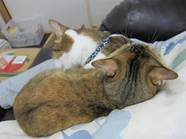 IMG04842.jpg