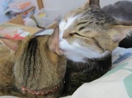 IMG04845.jpg