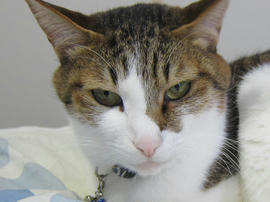 IMG04846.jpg