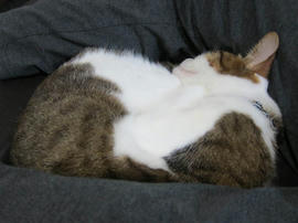 IMG04848.jpg