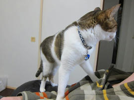 IMG04850.jpg