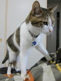 IMG04851.jpg