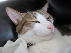 IMG04854.jpg