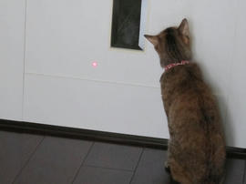 IMG04857.jpg
