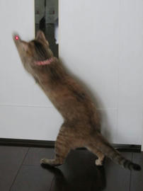IMG04858.jpg