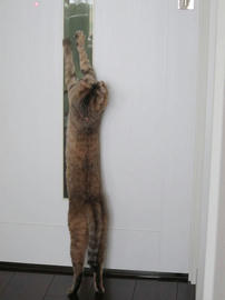 IMG04859.jpg