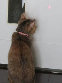 IMG04860.jpg