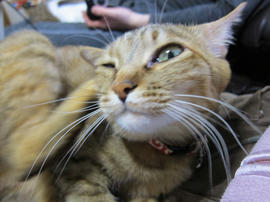 IMG04865.jpg